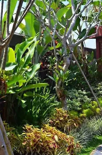 Magenta Spa, Bed & Breakfast Ubud Hotel